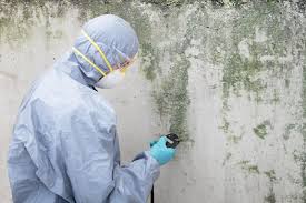  , USA Mold Inspection Pros